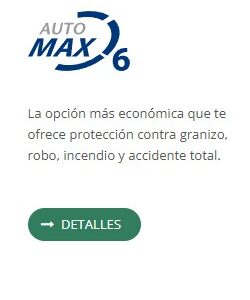 POLIZA MAX6